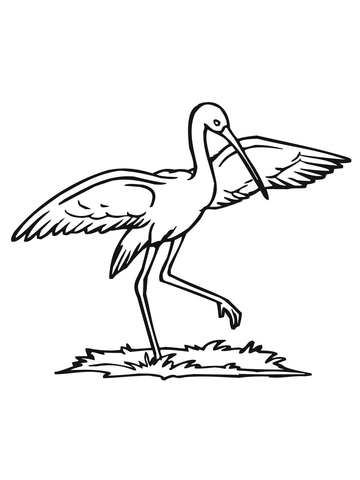 Stork Dance Coloring Page